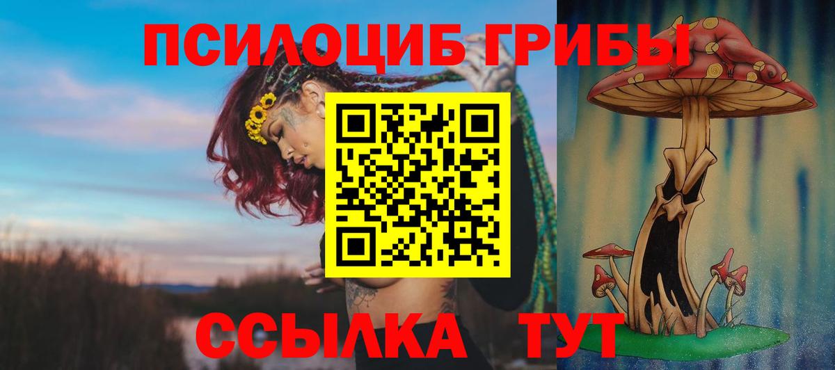 Псилоцибиновые грибы MAGIC MUSHROOMS Ялуторовск